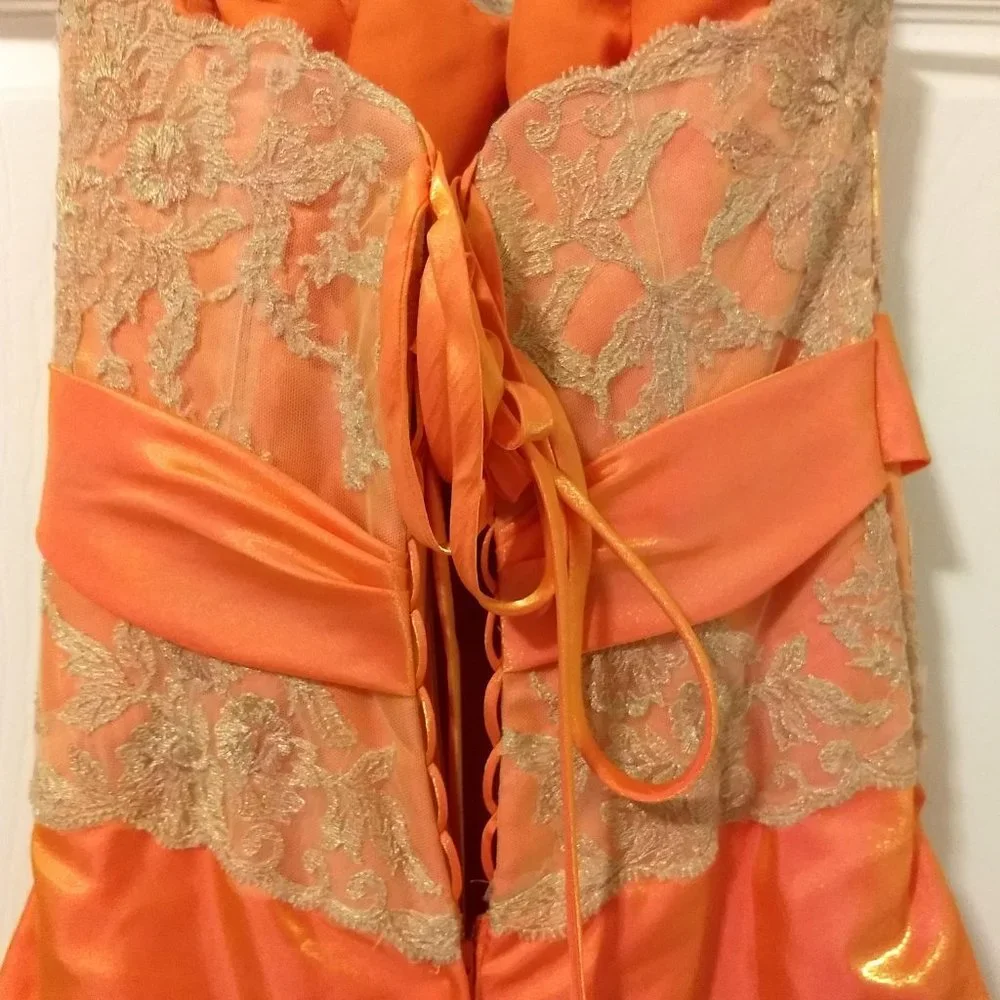 Prom/Formal Gown - Picture 5 of 8